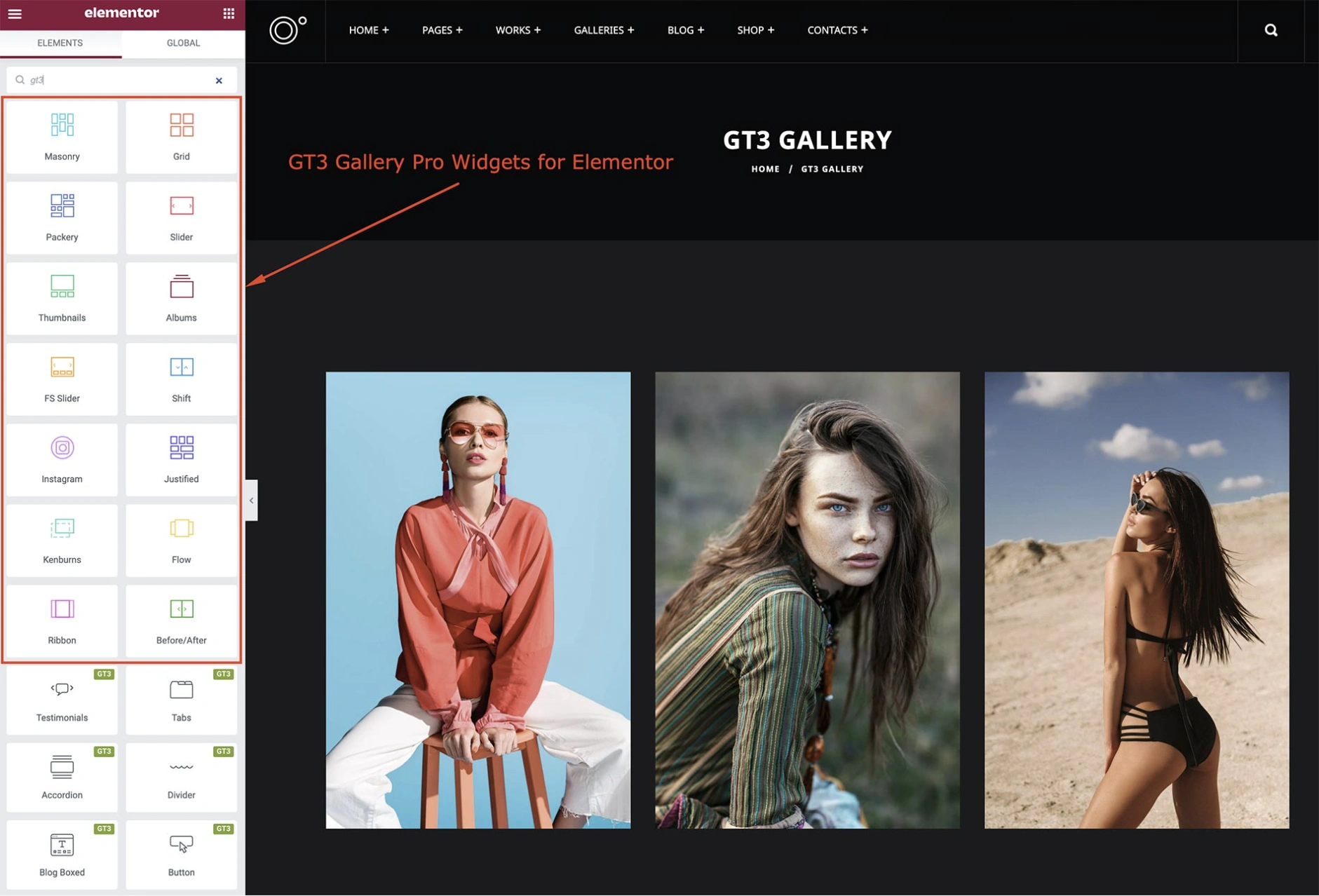 【Wordpress】GT3 Photo & Video Gallery Pro v1.7.2.18 圖片視頻混排展示清單頁瀑布流頁面創建外掛程式下載