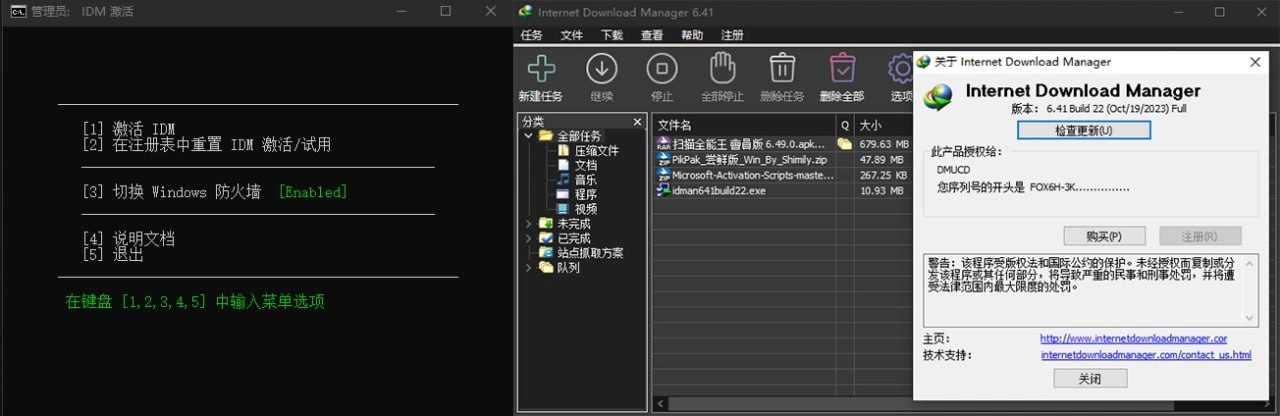 IDM 永久啟動工具(啟動後可正常更新)